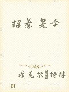 招惹 是今