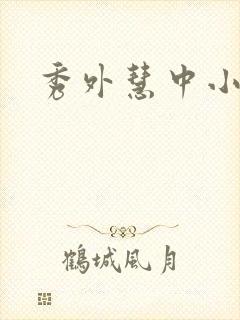 秀外慧中小说