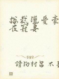 总裁猎爱豪门一夜宠妻