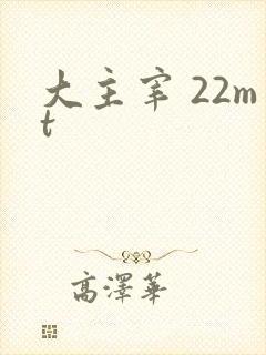 大主宰 22mt