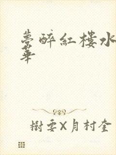 梦醉红楼水润珠华