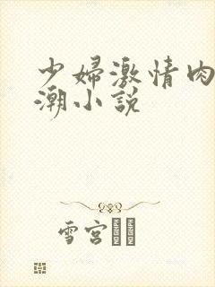 少妇激情肉欲高潮小说