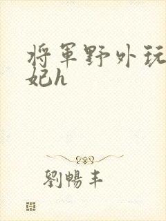 将军野外玩弄贵妃h