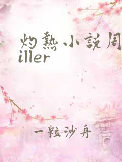 灼热小说周防killer