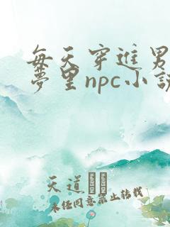 每天穿进男神的梦里npc小说txt