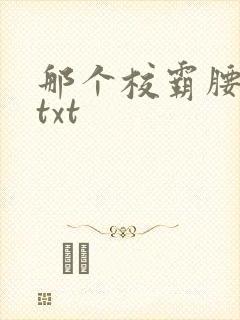 那个校霸腰好软txt