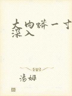 大肉蟒一寸寸地深入