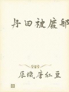 丹田被废那些年