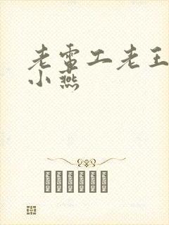 老电工老王和李小燕