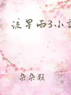 流星雨3小说