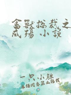 禽兽总裁之虐爱成殇 小说