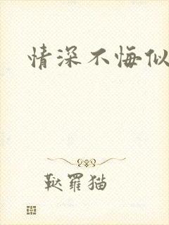 情深不悔似笑话