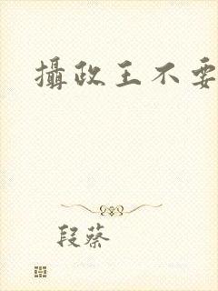 摄政王不要