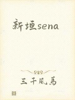 新垣sena