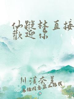 仙踪林直接入口欢迎你