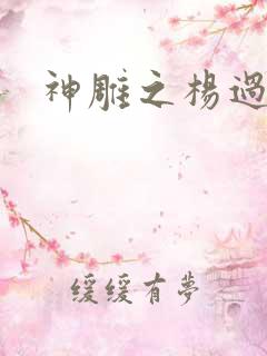 神雕之杨过新传