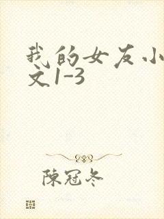 我的女友小洁全文1-3