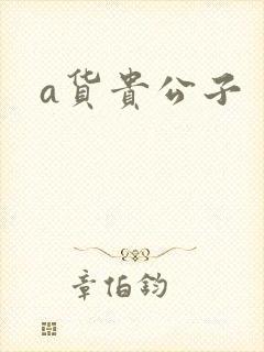 a货贵公子