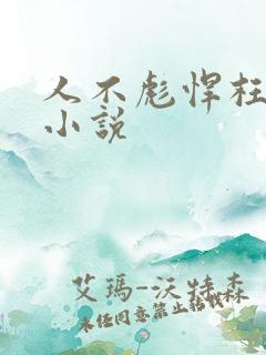 人不彪悍枉少年小说