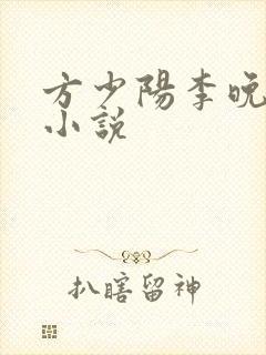 方少阳李晚晴的小说