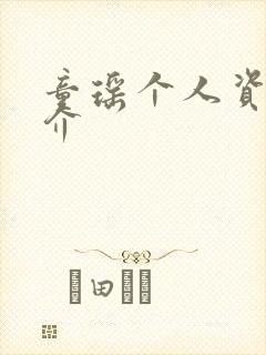 童瑶个人资料简介