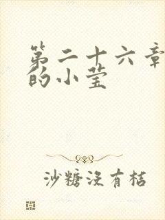 第二十六章满足的小莹