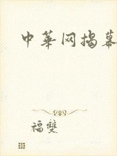 中华网揭幕内参