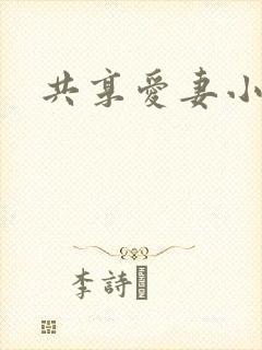 共享爱妻小说