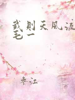 武则天风流艳情毛一