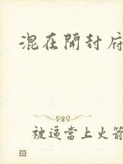 混在开封府