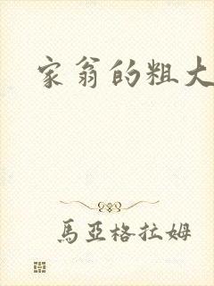 家翁的粗大