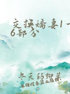 交换娇妻1一36部分