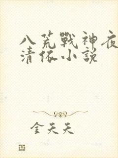 八荒战神夜麟云清依小说