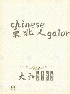 chinese东北人galore