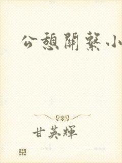 公憩关系小说
