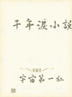 千年泪小说