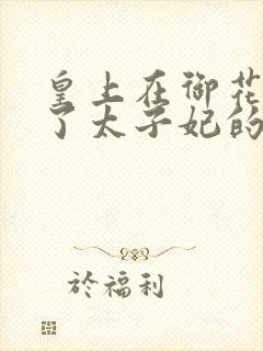 皇上在御花园c了太子妃的网剧