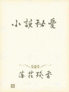 小说秘爱