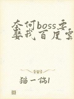 奈何boss要娶我百度云