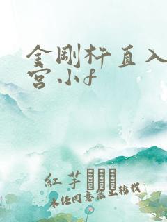 金刚杵直入莲花宫小f