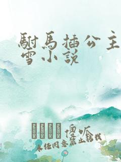 驸马插公主恋战雪小说