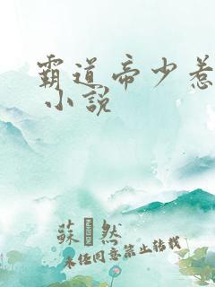 霸道帝少惹不得 小说