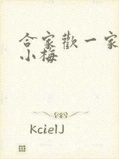 合家欢一家亲黄小梅