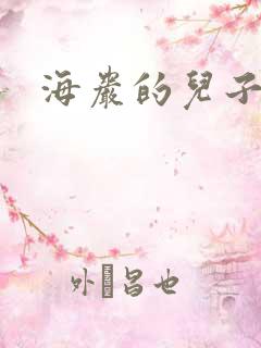 海岩的儿子