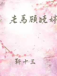 老马顾晓婷小说