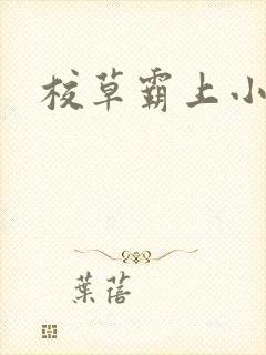 校草霸上小丫头