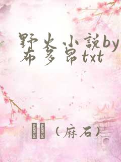 野火小说by夏布多昂txt