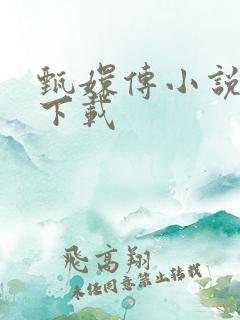 甄嬛传小说全集下载