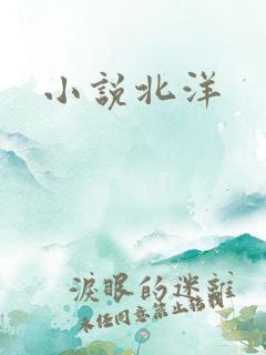 小说北洋