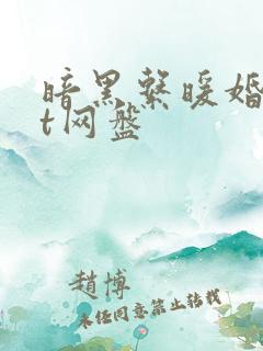 暗黑系暖婚txt网盘